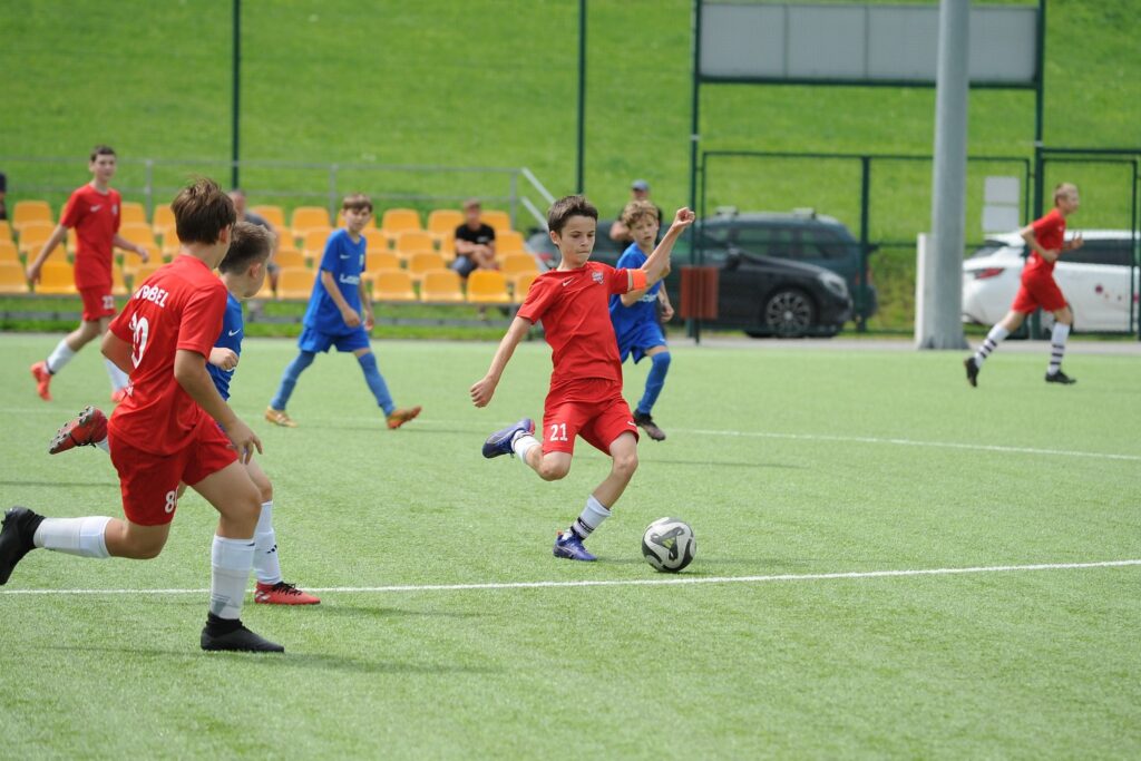 2012 cyga