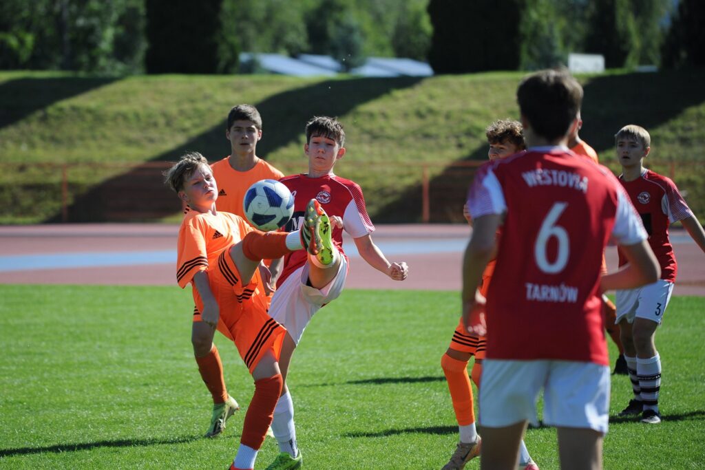 2011 malochleb
